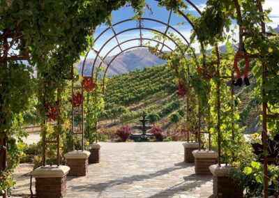 An arched trellis with hanging vines frames a view of a vineyard, showcasing a fountain and rolling hills in the background.